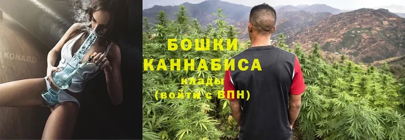 Конопля OG Kush  Кочубеевское 